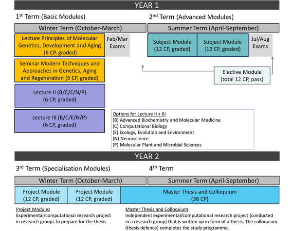 Programme structure